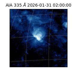 saia - 2026-01-31T02:00:00.618000