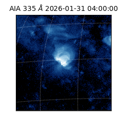 saia - 2026-01-31T04:00:00.622000