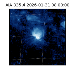 saia - 2026-01-31T08:00:00.625000