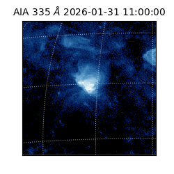 saia - 2026-01-31T11:00:00.633000