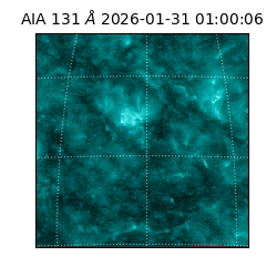 saia - 2026-01-31T01:00:06.622000