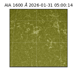 saia - 2026-01-31T05:00:14.126000