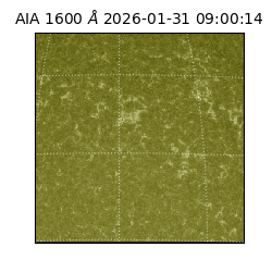 saia - 2026-01-31T09:00:14.125000