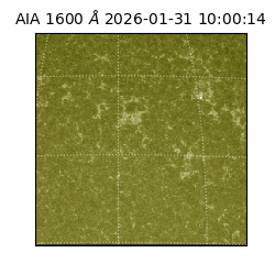 saia - 2026-01-31T10:00:14.126000