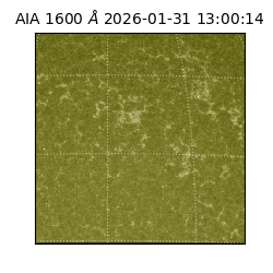 saia - 2026-01-31T13:00:14.126000