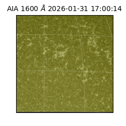 saia - 2026-01-31T17:00:14.126000