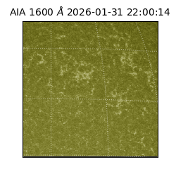 saia - 2026-01-31T22:00:14.125000