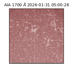 saia - 2026-01-31T05:00:28.718000