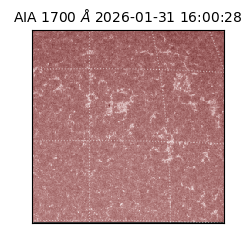 saia - 2026-01-31T16:00:28.717000