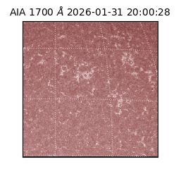 saia - 2026-01-31T20:00:28.726000