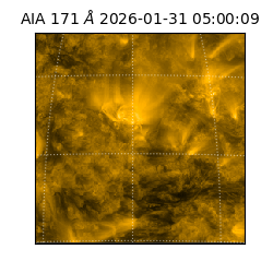 saia - 2026-01-31T05:00:09.350000