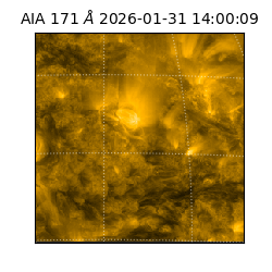 saia - 2026-01-31T14:00:09.350000