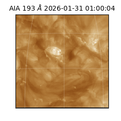 saia - 2026-01-31T01:00:04.846000