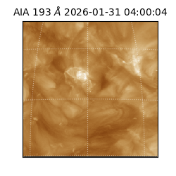 saia - 2026-01-31T04:00:04.843000