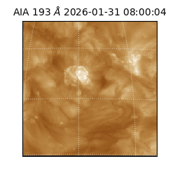 saia - 2026-01-31T08:00:04.843000