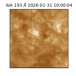 saia - 2026-01-31T10:00:04.843000