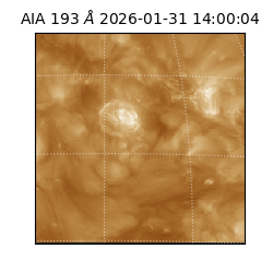 saia - 2026-01-31T14:00:04.843000