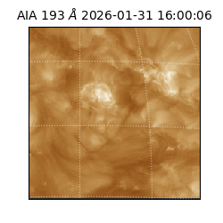 saia - 2026-01-31T16:00:06.936000