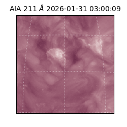 saia - 2026-01-31T03:00:09.630000