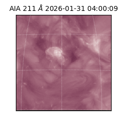 saia - 2026-01-31T04:00:09.626000