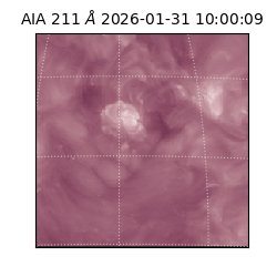 saia - 2026-01-31T10:00:09.622000