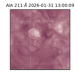 saia - 2026-01-31T13:00:09.623000