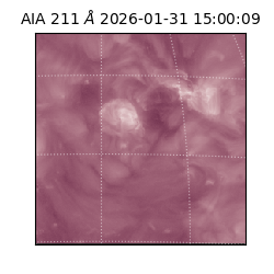 saia - 2026-01-31T15:00:09.626000