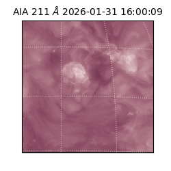 saia - 2026-01-31T16:00:09.626000