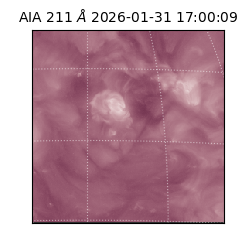 saia - 2026-01-31T17:00:09.622000