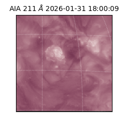 saia - 2026-01-31T18:00:09.623000