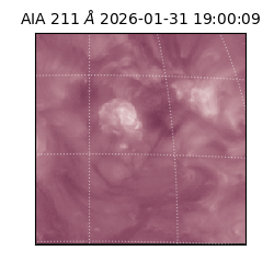 saia - 2026-01-31T19:00:09.626000