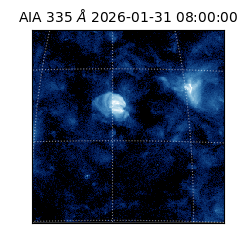 saia - 2026-01-31T08:00:00.625000