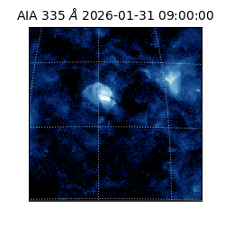 saia - 2026-01-31T09:00:00.622000