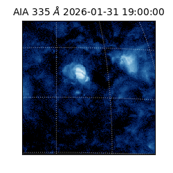 saia - 2026-01-31T19:00:00.626000