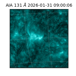 saia - 2026-01-31T09:00:06.625000