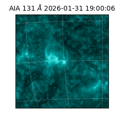 saia - 2026-01-31T19:00:06.622000