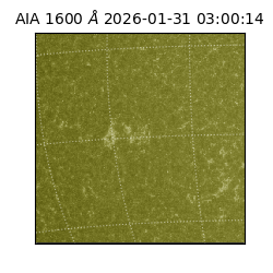 saia - 2026-01-31T03:00:14.126000