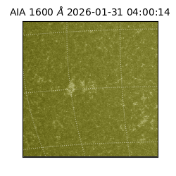 saia - 2026-01-31T04:00:14.126000