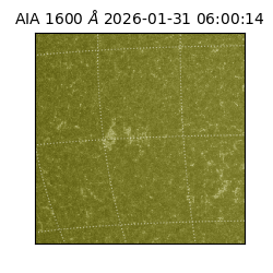 saia - 2026-01-31T06:00:14.126000