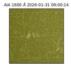 saia - 2026-01-31T09:00:14.125000