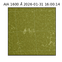 saia - 2026-01-31T16:00:14.125000