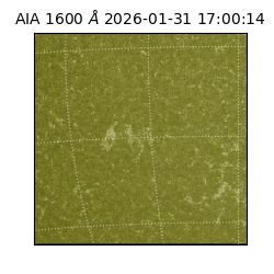 saia - 2026-01-31T17:00:14.126000