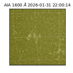 saia - 2026-01-31T22:00:14.125000