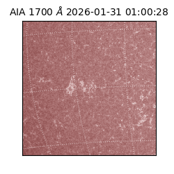 saia - 2026-01-31T01:00:28.721000