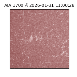 saia - 2026-01-31T11:00:28.737000