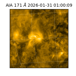 saia - 2026-01-31T01:00:09.349000