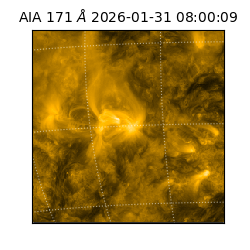 saia - 2026-01-31T08:00:09.350000