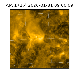 saia - 2026-01-31T09:00:09.350000