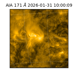 saia - 2026-01-31T10:00:09.350000