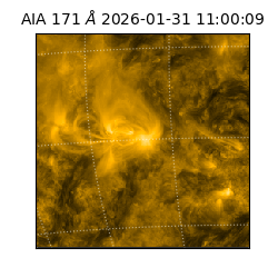 saia - 2026-01-31T11:00:09.350000